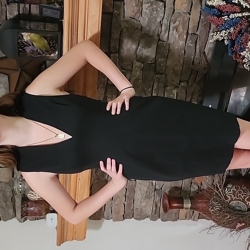 ⚡️Sale⚡️BURBERRY  SLEEVELESS FITTED DRESS Sz 10/12/14👇